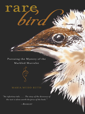 cover image of Rare Bird